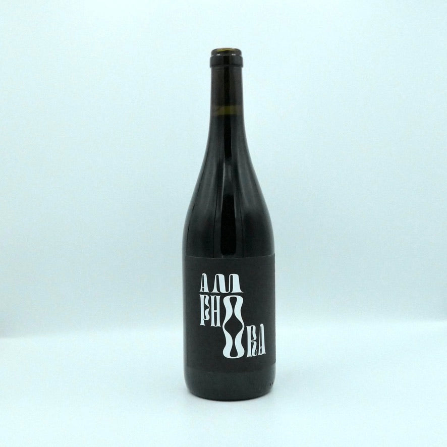 Amphora Pinot 2022