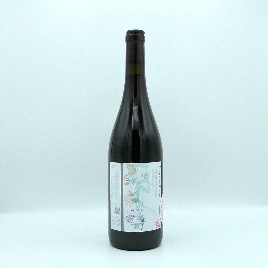 Transcendance 2020/21