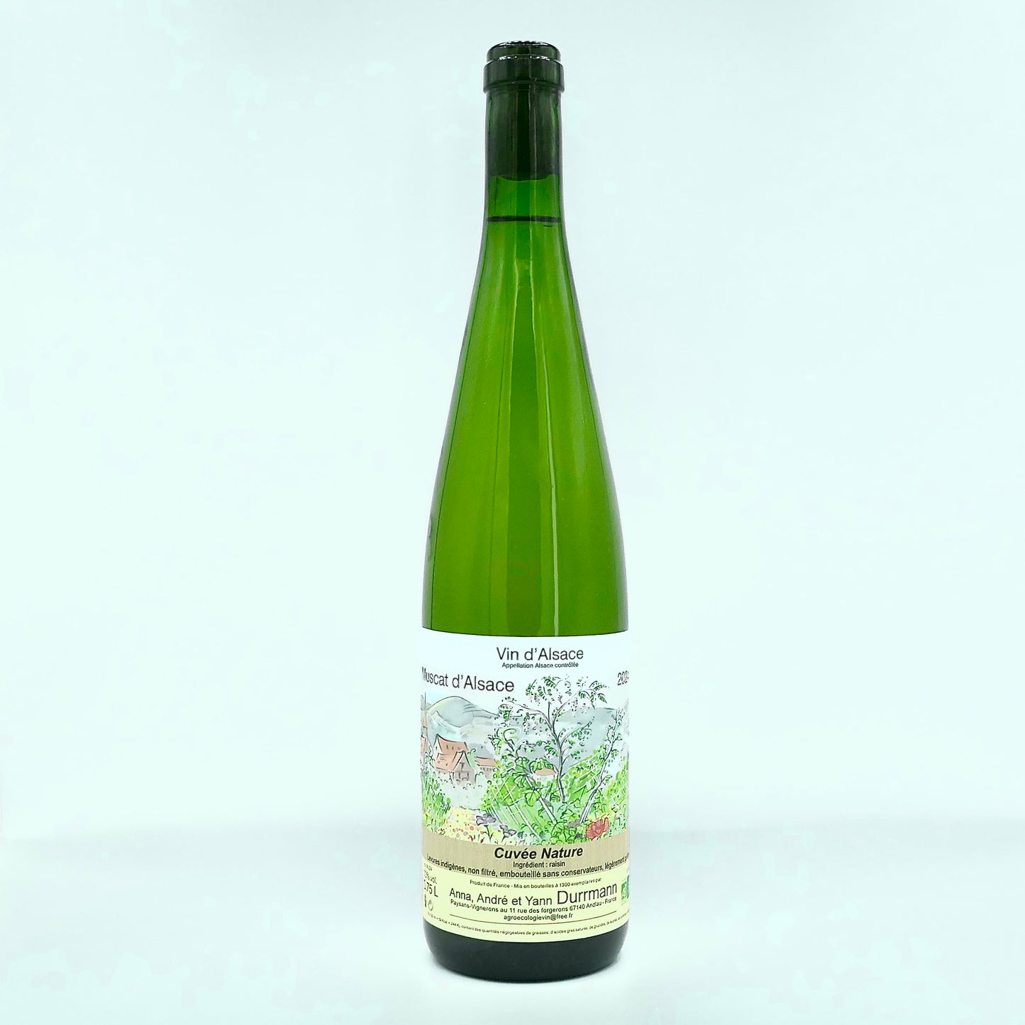 Muscat d'Alsace 2024