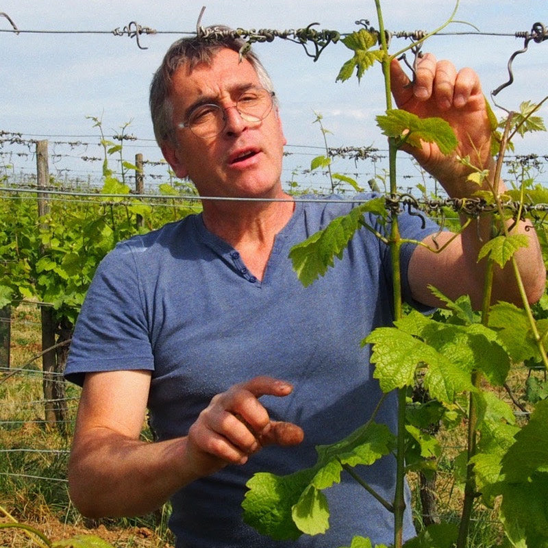 Crémant Extra Brut 2023/24