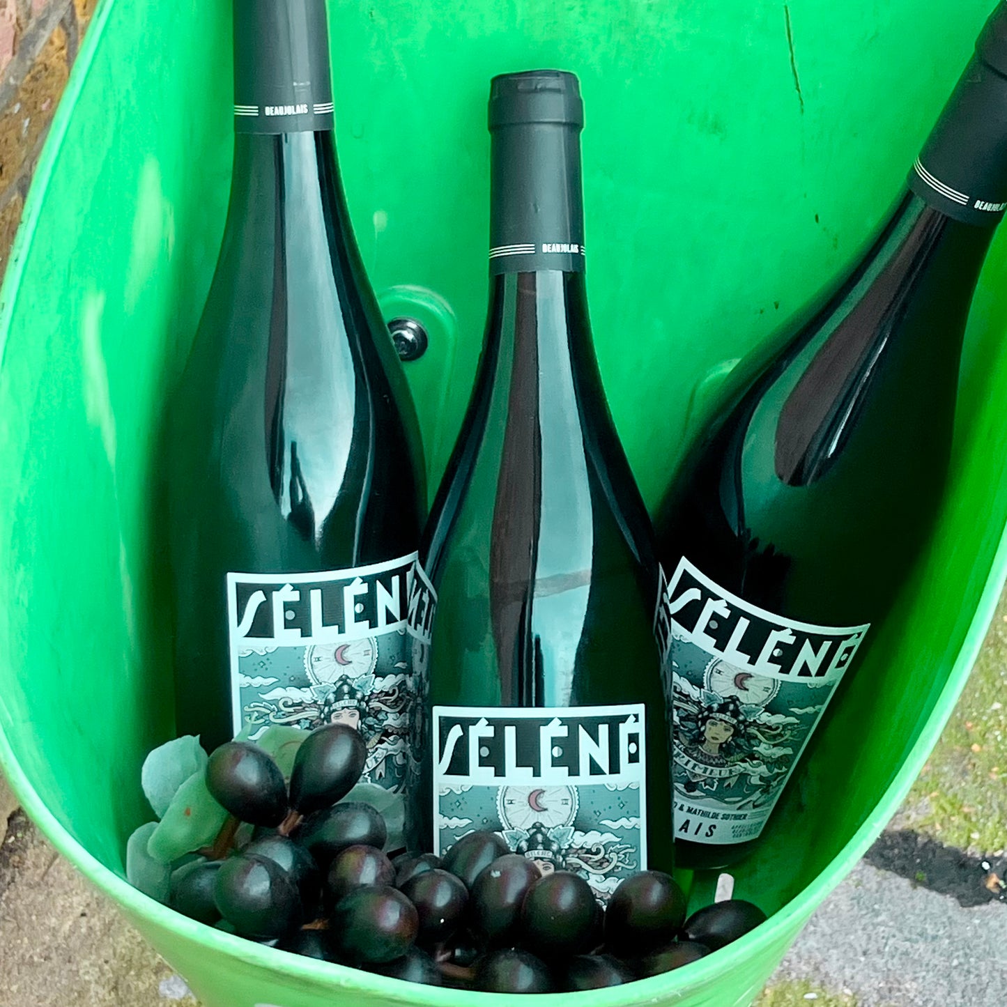 Beaujolais Nouveau 2025 Party Pack (pre-order) (free shipping)