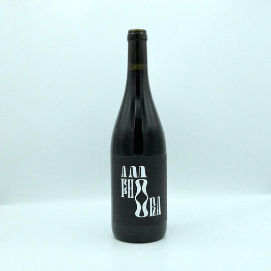 Amphora Pinot 2022