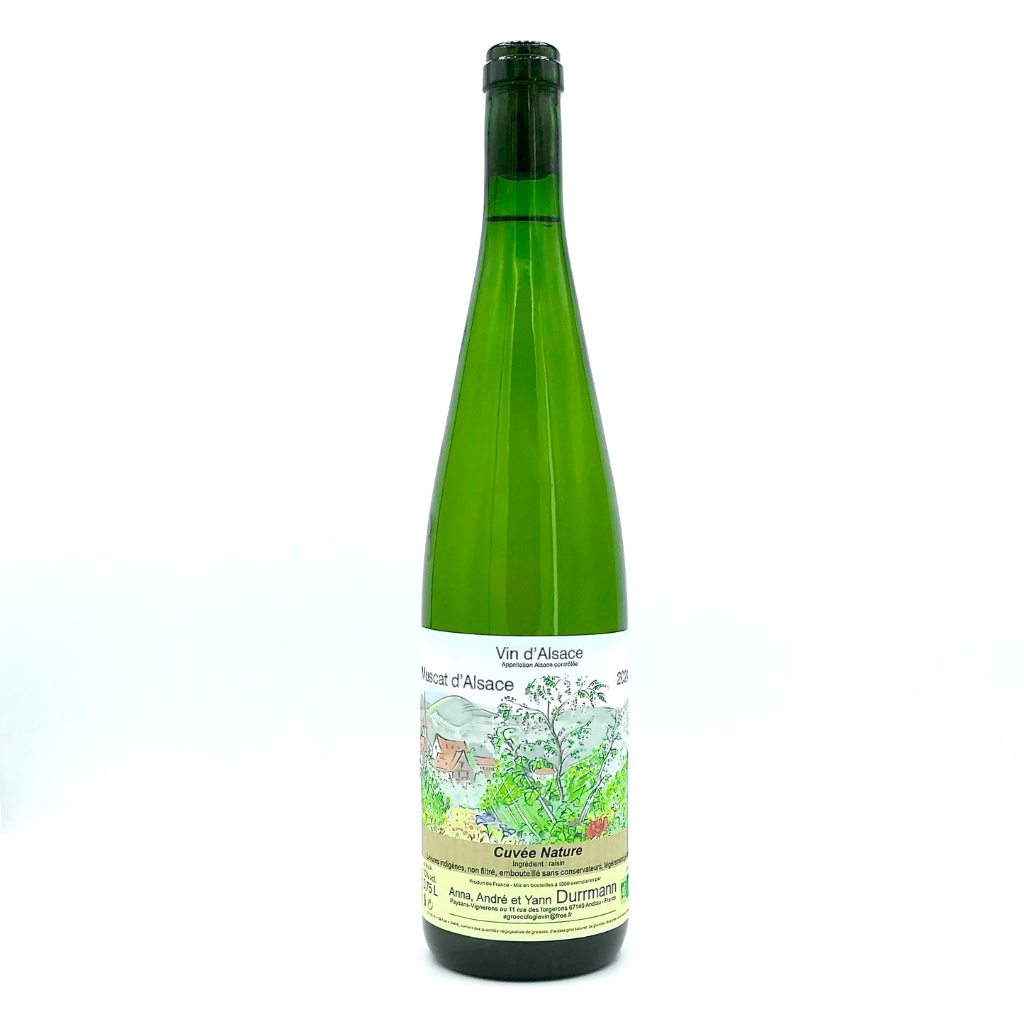 Muscat d'Alsace 2024
